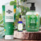 the beauty co Acne Control Kit | Tea Tree Body Wash and Face Wash and Bergamot Essential Oil